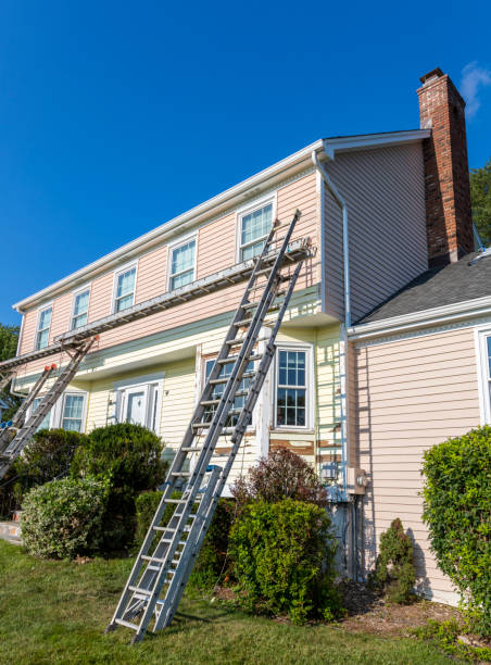 Best Hoarding Cleanup  in West Van Lear, KY