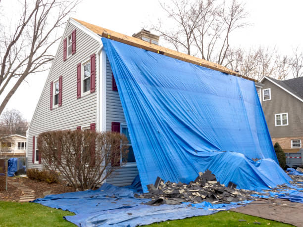 Best Construction Debris Removal  in West Van Lear, KY